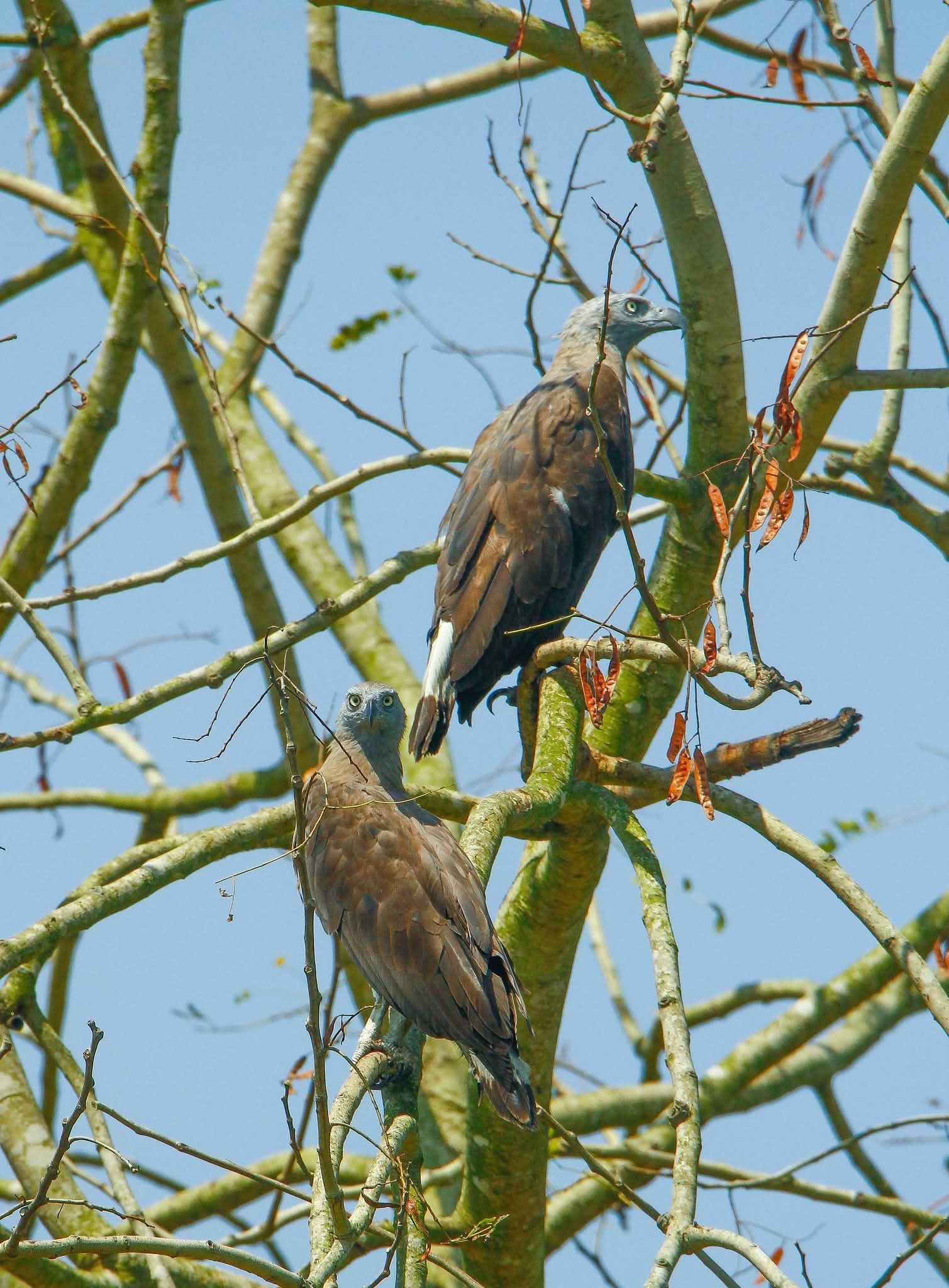 প্রেম কখনো বুড়ি হয়না