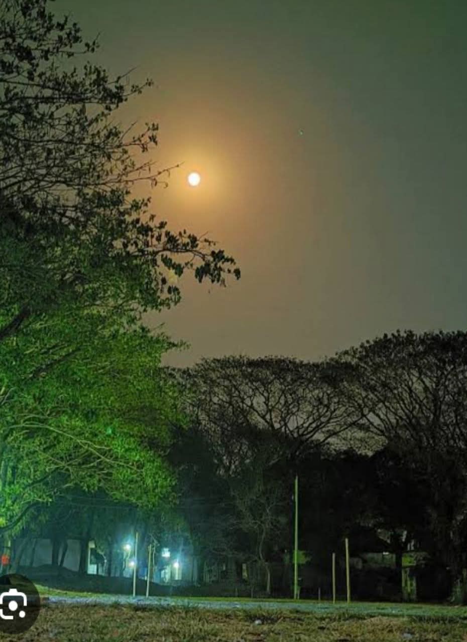 বিচ্ছিন্ন বিকেলে