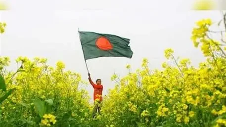 নতুন স্বপ্ন