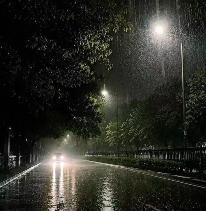 কাঙ্খিত বৃষ্টি